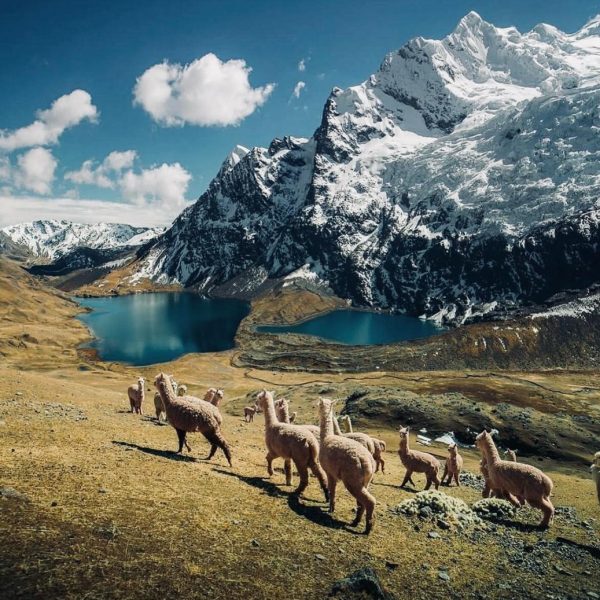 Ausangate trek